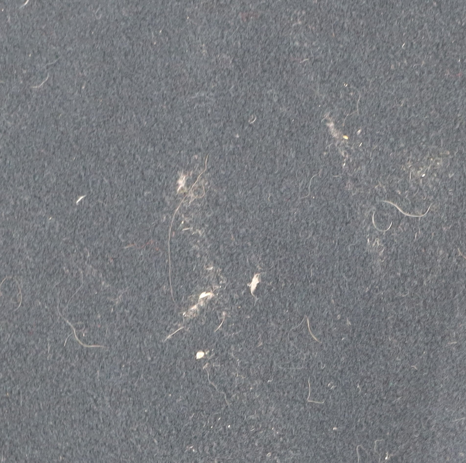 Calibre Men's Blue Wool Blazer 38R Two-Button Classic