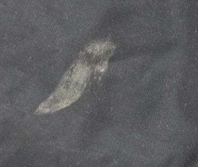 French Connection Women's Blue Hooded Parka XS