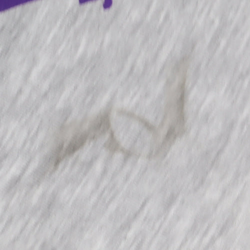 NBA Men's Grey S Lakers Graphic Pullover Sweatshirt