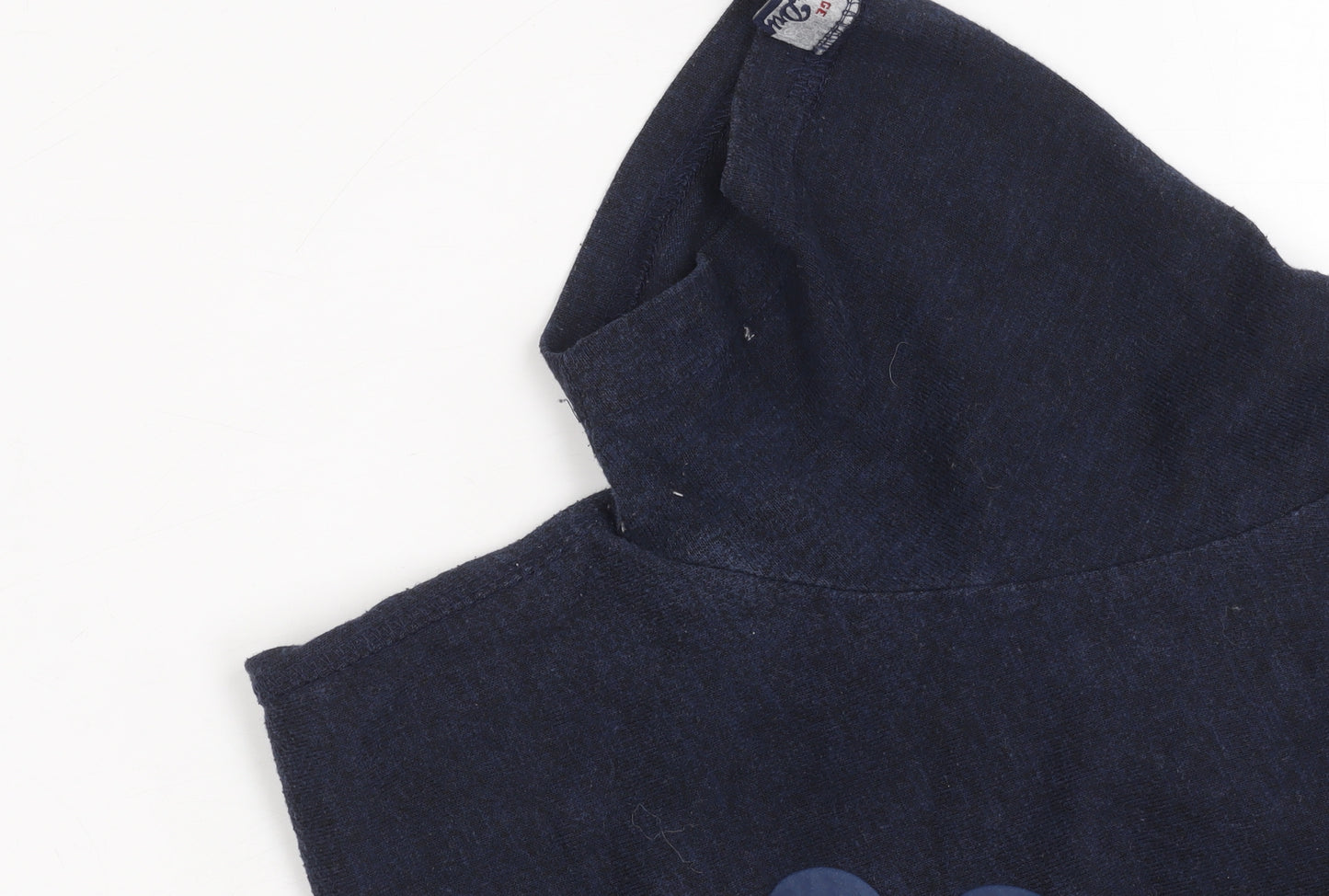 Superdry Men's Blue Small Graphic Print T-Shirt