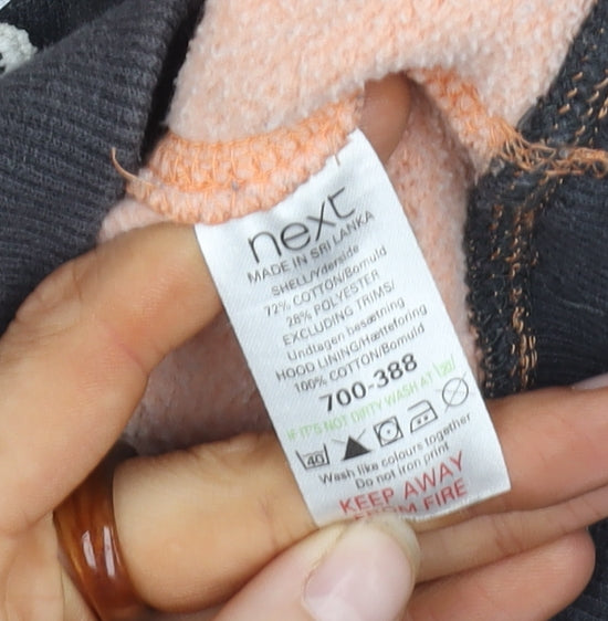 Next Unisex Adult Multicoloured Pullover Hoodie 16