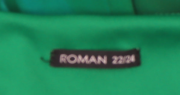 Roman Women's Green Tunic Top Plus Size V-Neck Chiffon