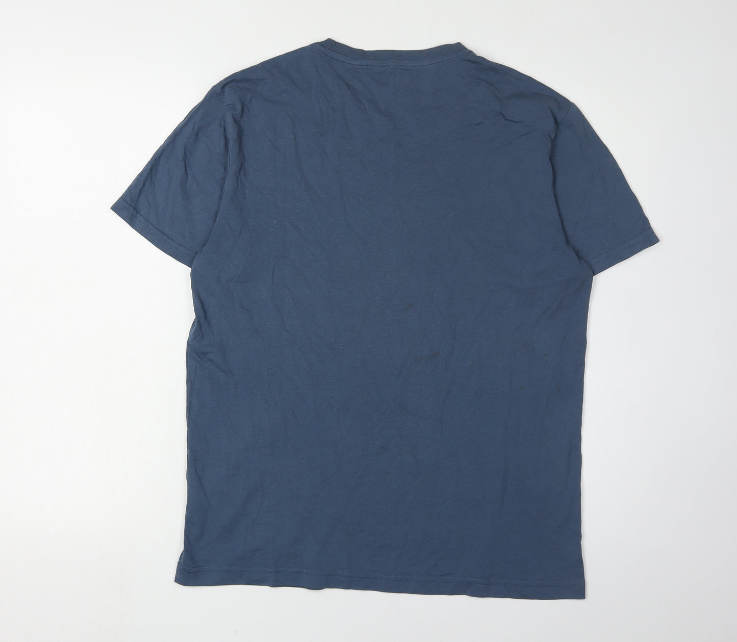 Penguin Men's Blue Graphic T-Shirt, M, Regular Fit