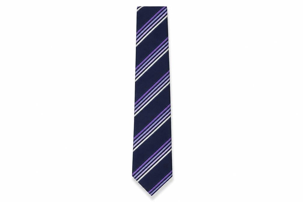 Front view of Milan Men's Purple Striped Silk Tie One Size