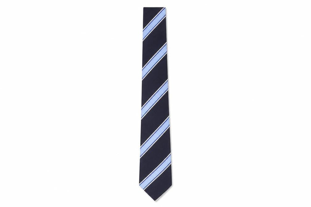 Front view of Redgreen Men's Blue Striped Silk Slim Tie