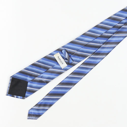 Van Heusen Men's Blue Striped Polyester Tie