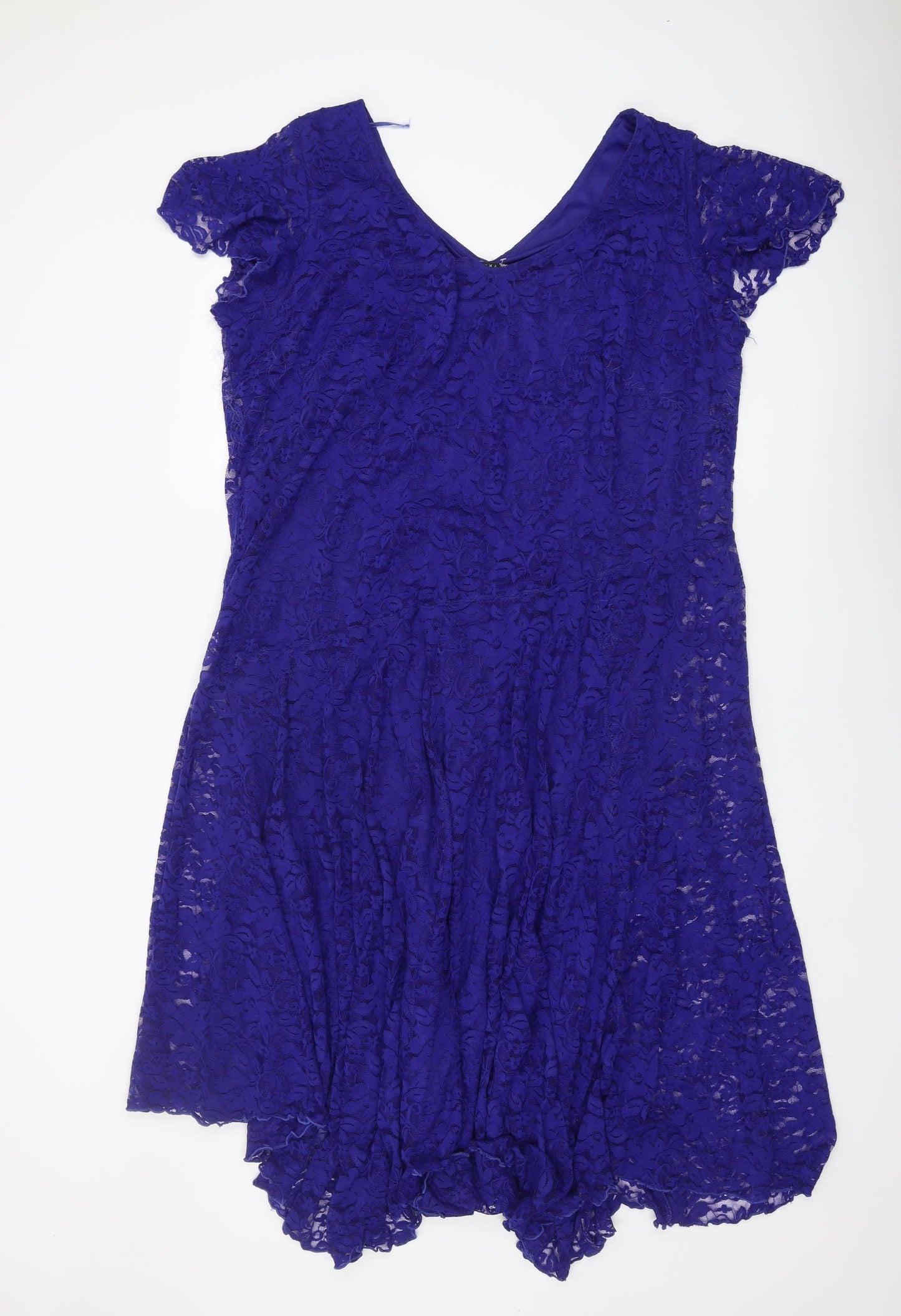 Joanna Hope Women's Blue V-Neck Lace Dress - Size 22