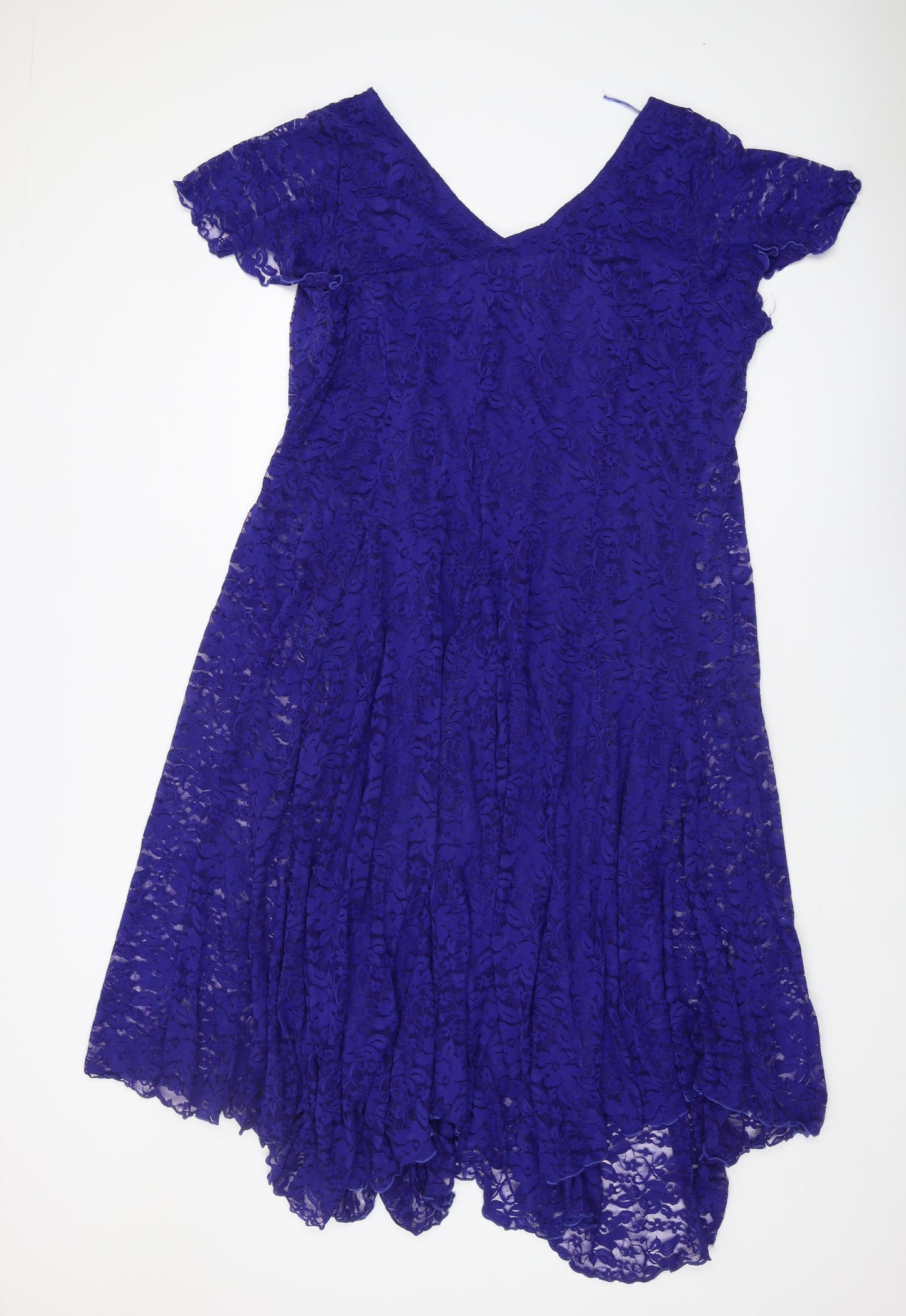 Joanna Hope Women's Blue V-Neck Lace Dress - Size 22