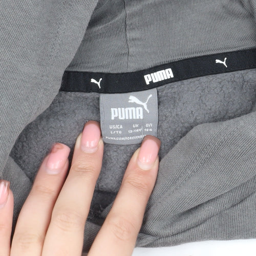 Puma Girls Grey Hoodie, Logo, Size L, Casual Fleece