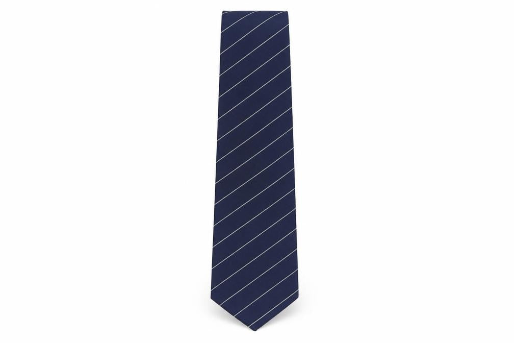 Front view of Frangi Men's Blue Striped Silk Tie