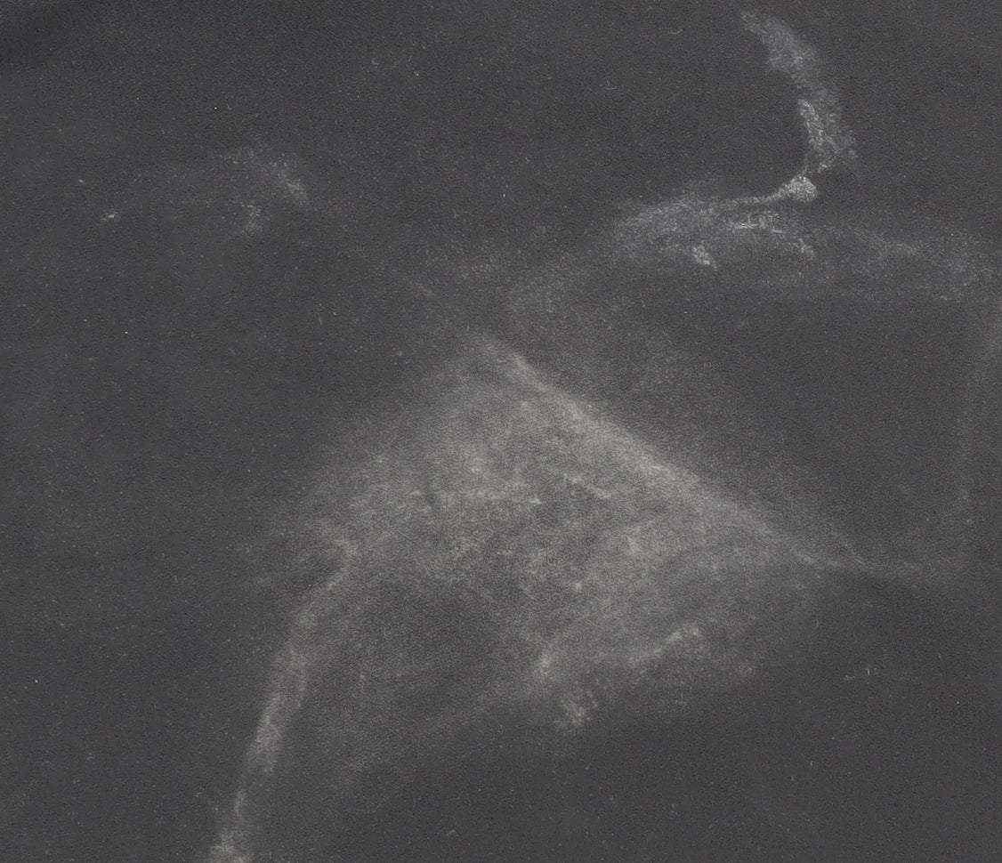 Boohoo Boutique Women’s Black Studded Collar Shirt