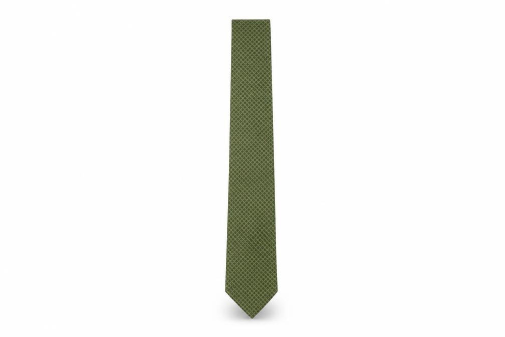 Front view of René Chagal Men's Green Slim Tie, Polyester, One Size