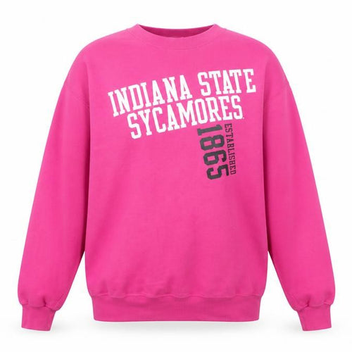 Champion Pink Indiana State Sweatshirt M Unisex Adults