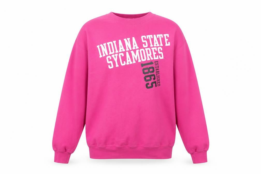 Champion Pink Indiana State Sweatshirt M Unisex Adults