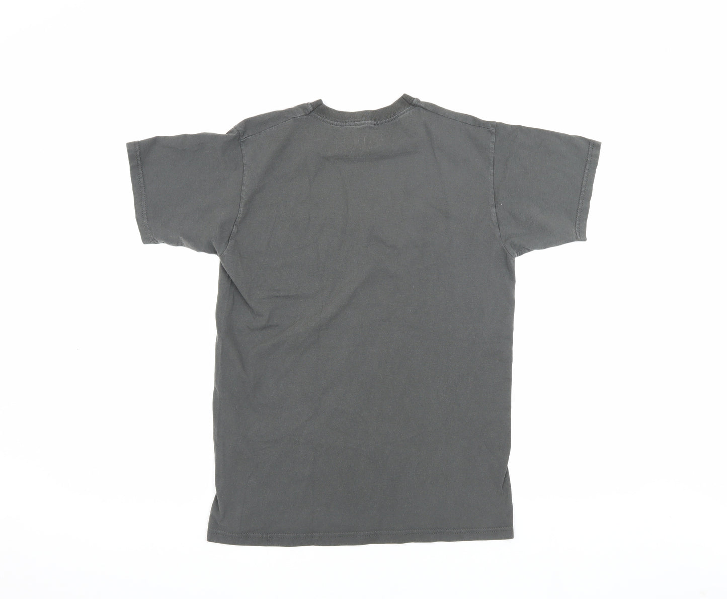 Rock Off Men's Grey Groot T-Shirt, Size S, Movie Theme