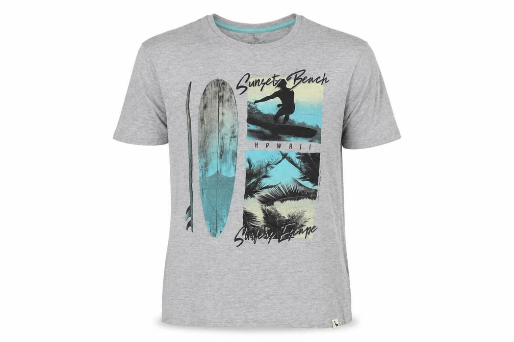 Front view of STH SHORE Men's Grey Beach Graphic T-Shirt, size M