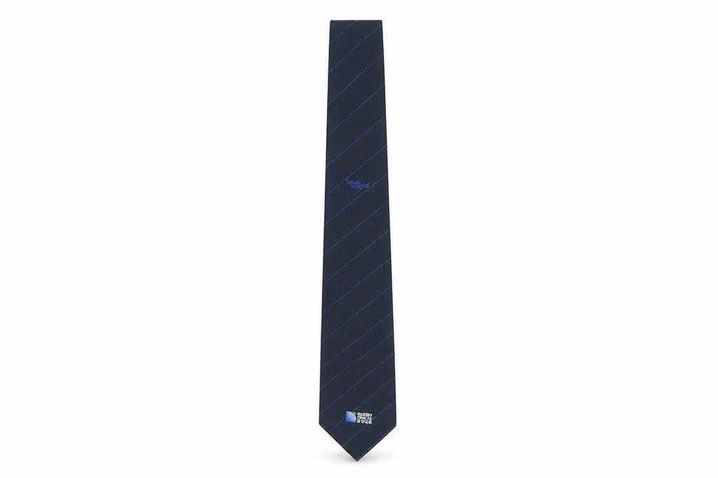 Front view of Rugby World Cup Men's Blue Striped Polyester Tie