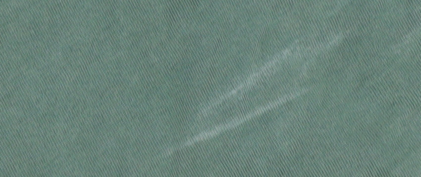 Calvin Klein Jeans Unisex Green Crew Neck T-Shirt L