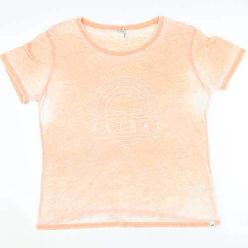 Animal Women's Orange T-Shirt Size 16