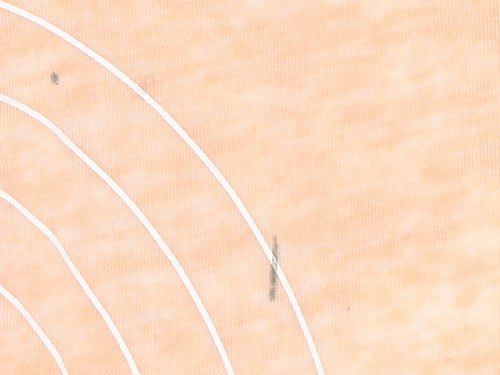 Animal Women's Orange T-Shirt Size 16