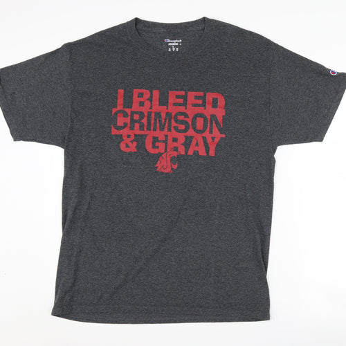 Champion Men's Grey College Graphic T-Shirt Size L