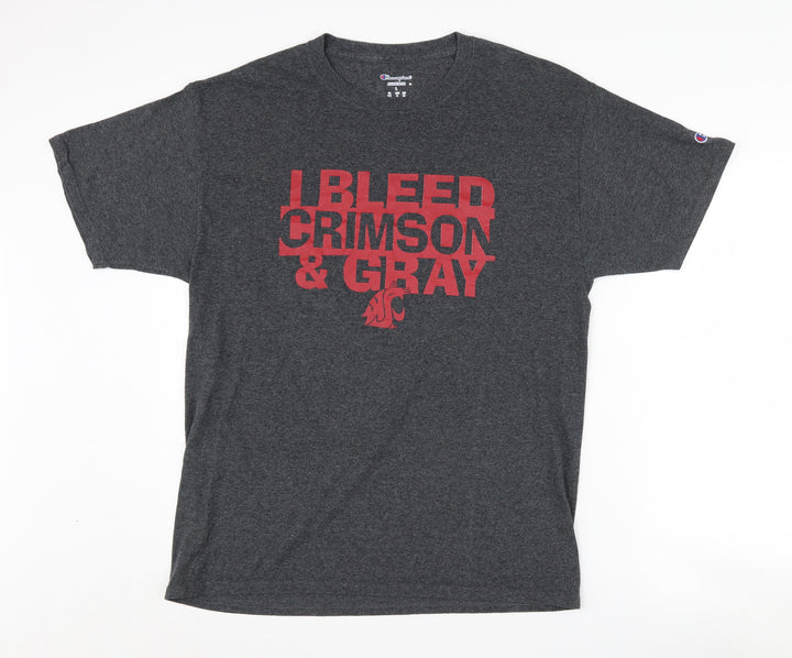 Champion Men's Grey College Graphic T-Shirt Size L