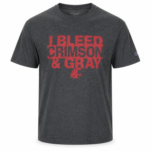 Champion Men's Grey College Graphic T-Shirt Size L