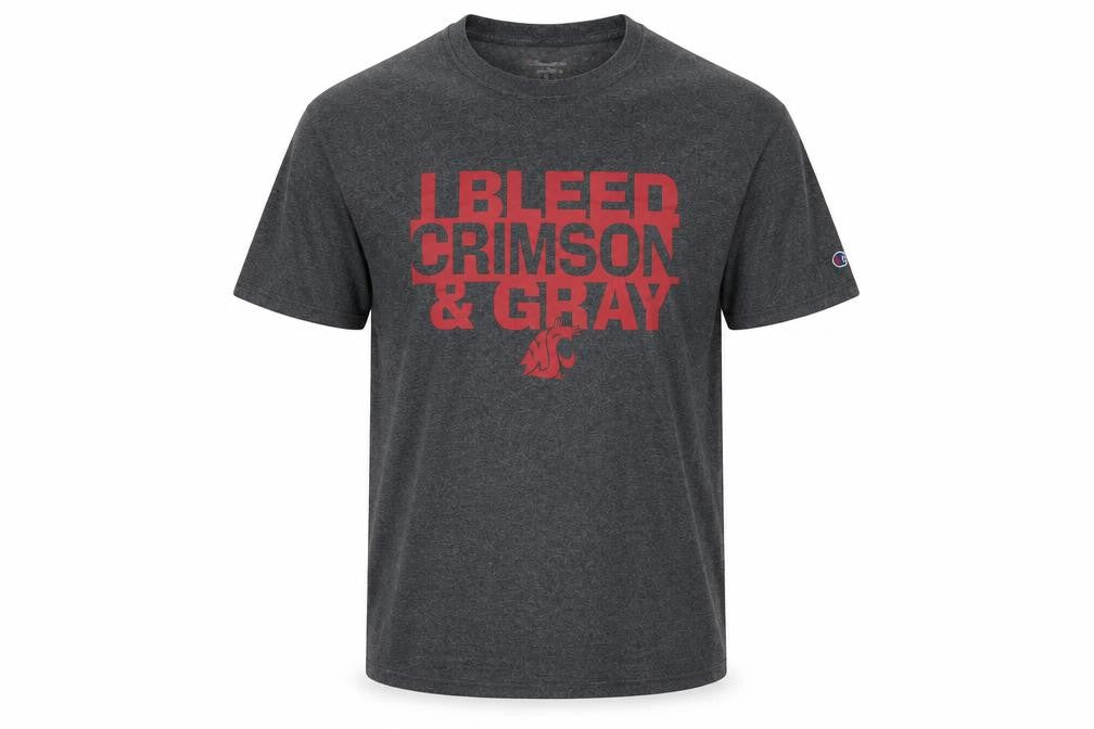 Champion Men's Grey College Graphic T-Shirt Size L