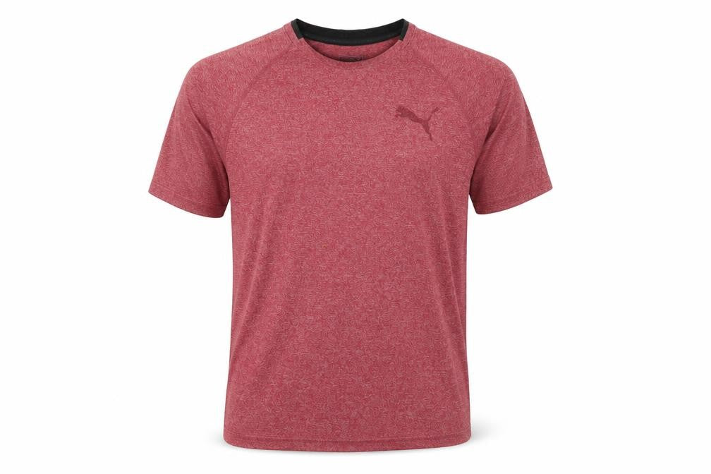Front view of Puma Men's Red T-Shirt M | Gym & Training Activewear