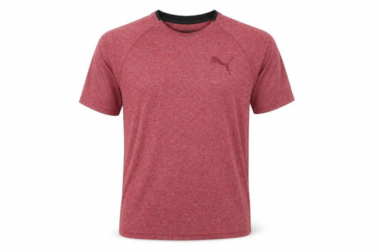 Front view of Puma Men's Red T-Shirt M | Gym & Training Activewear
