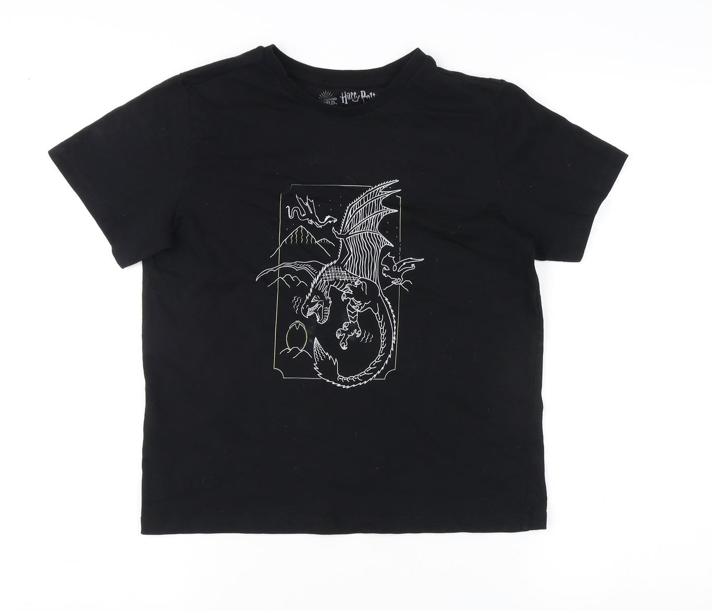Harry Potter Boys Black Dragon Graphic T-Shirt 9-10 Years