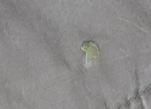 Ernie Women's Brown Military Hooded Jacket Size 16