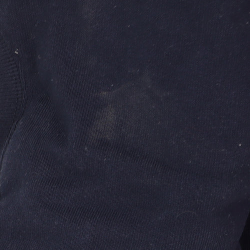 Champion Men's Blue Pullover Sweatshirt L Fleece