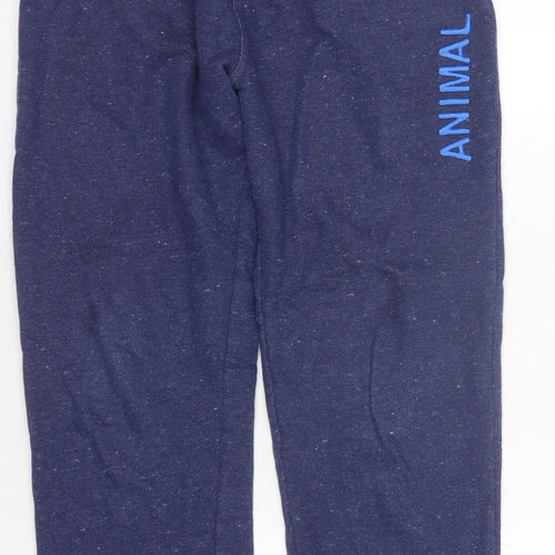 Animal Girls Blue Jogger Trousers, 13-14 Years, Cotton Blend