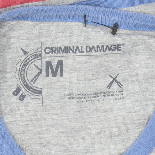 Criminal Damage Men's Multicoloured Striped T-Shirt