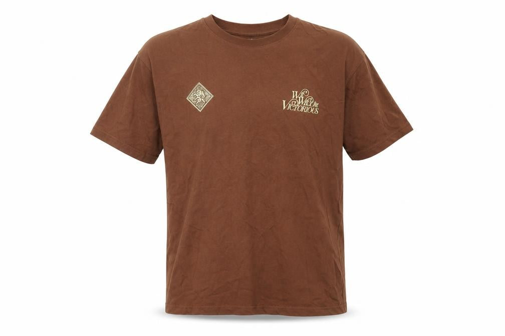 Front view of Zara Men Brown Cotton Short Sleeve T-Shirt, size S