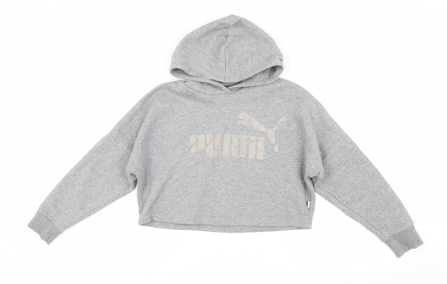 Puma Girls Grey Hoodie, 10 Years, Pullover Style, Logo
