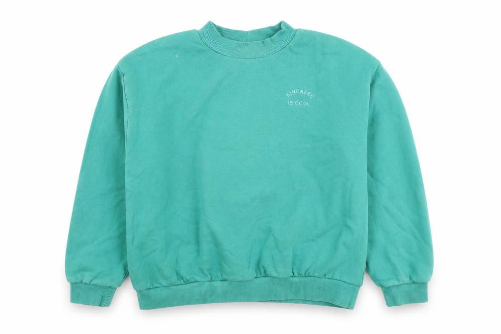 Front view of Next girls’ green 13 years pullover sweatshirt mock neck