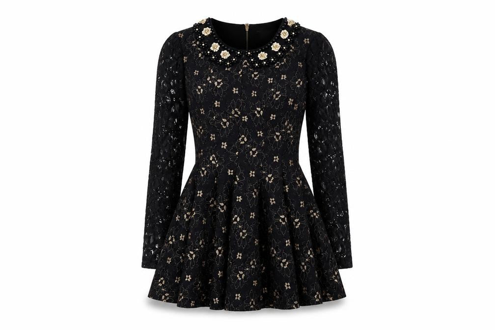Darcy Women's Black XS Fit & Flare Floral Lace Dress