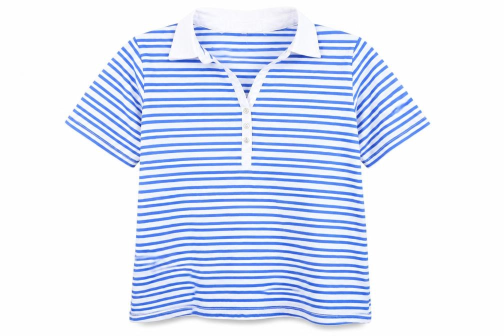 Front view of Paramour Women's Blue Striped Polo Shirt M Basic
