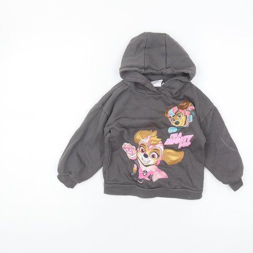 Nickelodeon Girls Grey PAW Patrol Pullover Hoodie 2-3 Years