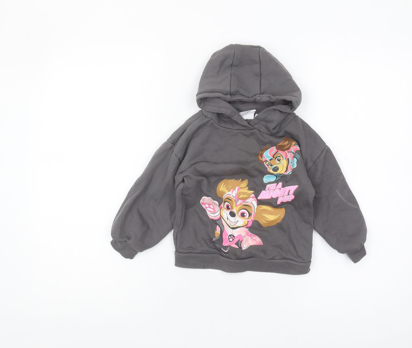 Nickelodeon Girls Grey PAW Patrol Pullover Hoodie 2-3 Years
