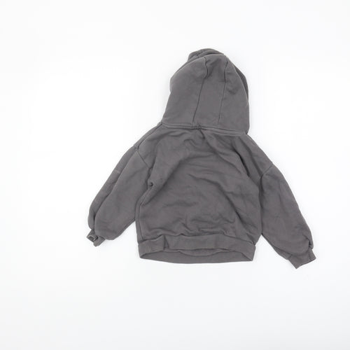 Nickelodeon Girls Grey PAW Patrol Pullover Hoodie 2-3 Years