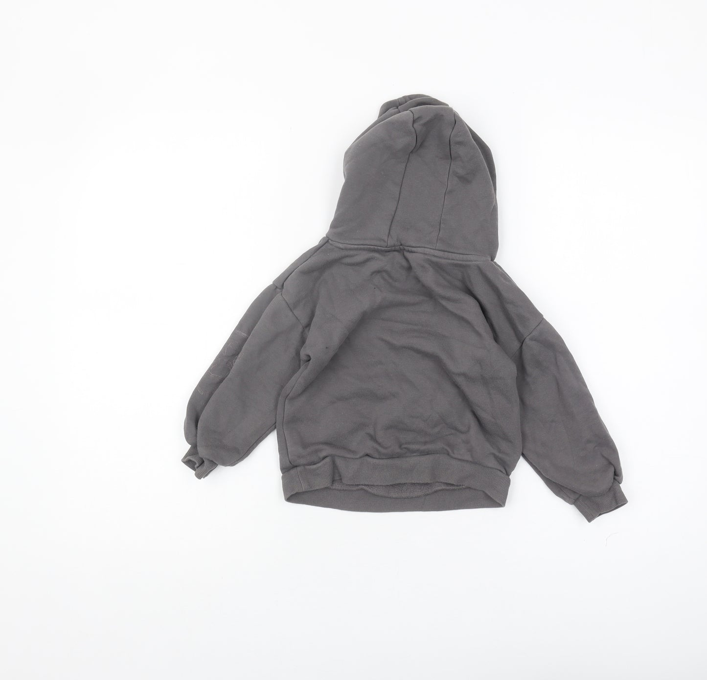 Nickelodeon Girls Grey PAW Patrol Pullover Hoodie 2-3 Years