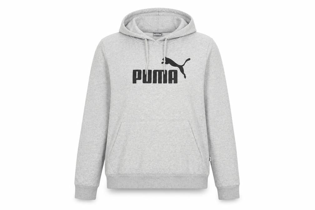 Puma Women's Grey Pullover Hoodie Size 16
