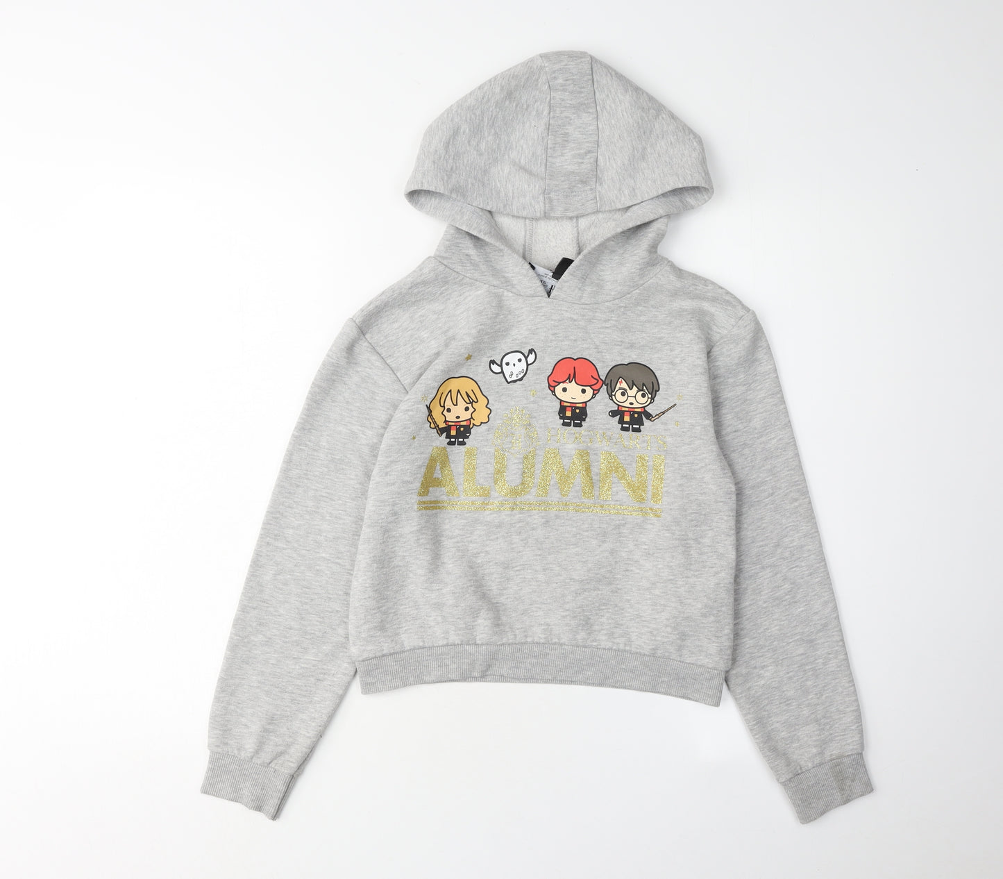 Harry Potter Girls Grey Pullover Hoodie - 10-11 Years