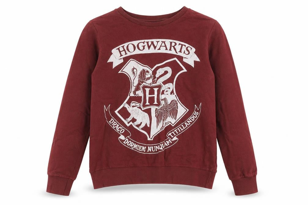 Front view of Harry Potter Women's Red Sweatshirt, size 10, Logo Graphic