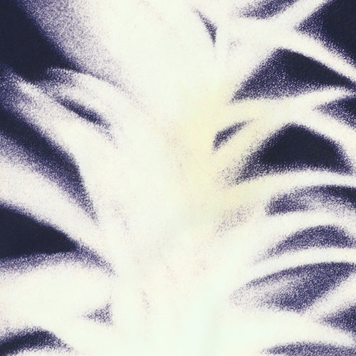 Chianti Women's Black Floral Midi Skirt Size 18