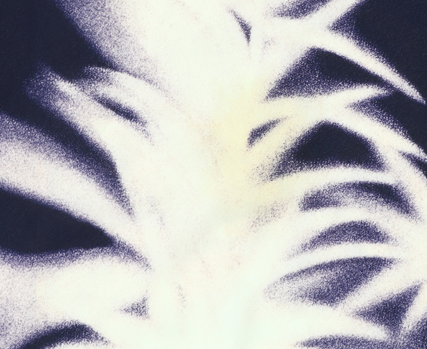 Chianti Women's Black Floral Midi Skirt Size 18