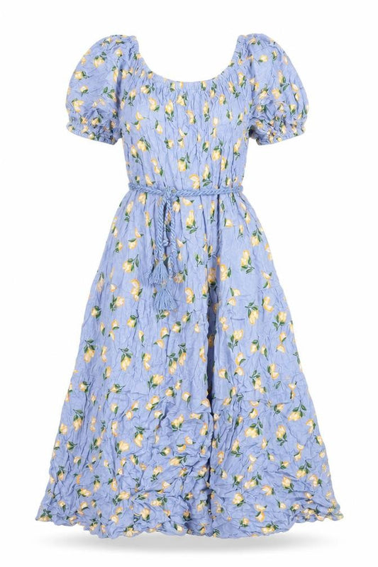 Front view of Marks & Spencer Women's Blue A-Line Floral Midi Dress